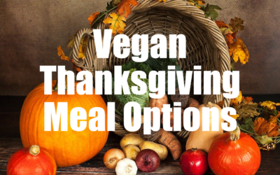 Vegan Thanksgiving Meal Options