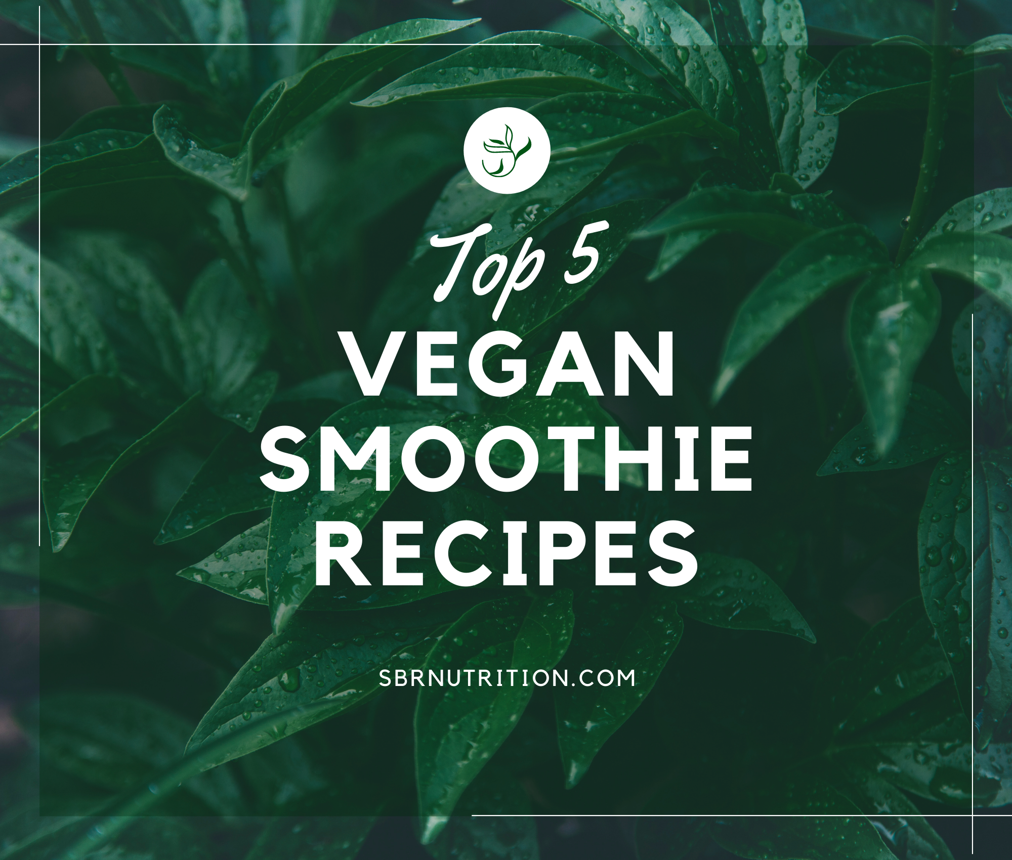 top 5 vegan smoothie recipes
